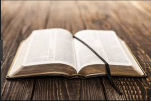 The New Testament - Quichua Imbabura Highland - 1994 Edition - (Faith Comes By Hearing)